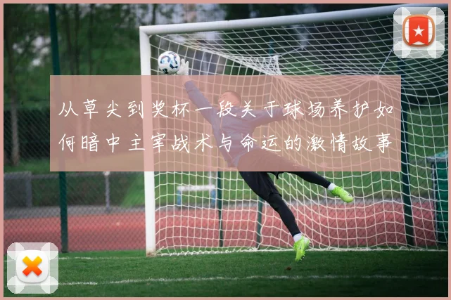 从草尖到奖杯一段关于球场养护如何暗中主宰战术与命运的激情故事