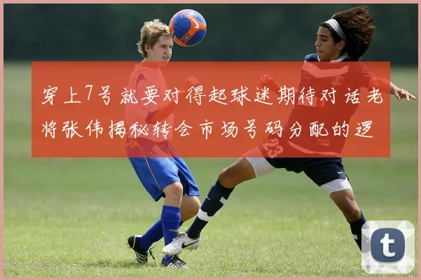 穿上7号就要对得起球迷期待对话老将张伟揭秘转会市场号码分配的逻辑与压力