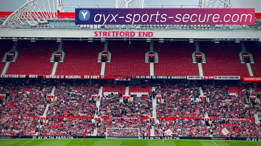 爱游戏体育服务体系